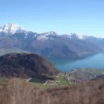 Luci *
